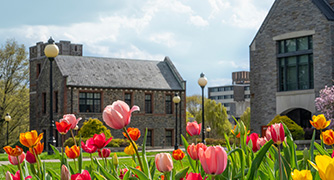 Image of the Marist University campus.