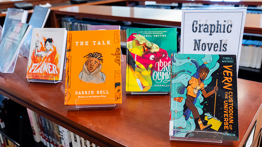 Image of graphic novels in library's collection.