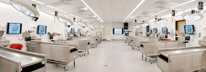 Image of Gross Anatomy Lab