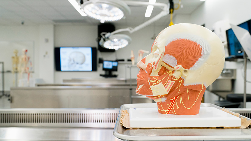 Image of Gross Anatomy Lab.