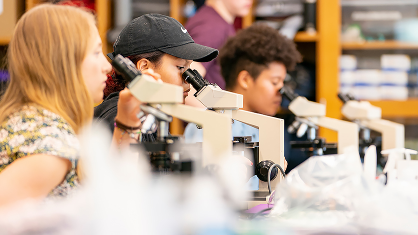 Image of Students participating in a Biology Lab at Marist. Photo by Carlo de Jesus/Marist University.