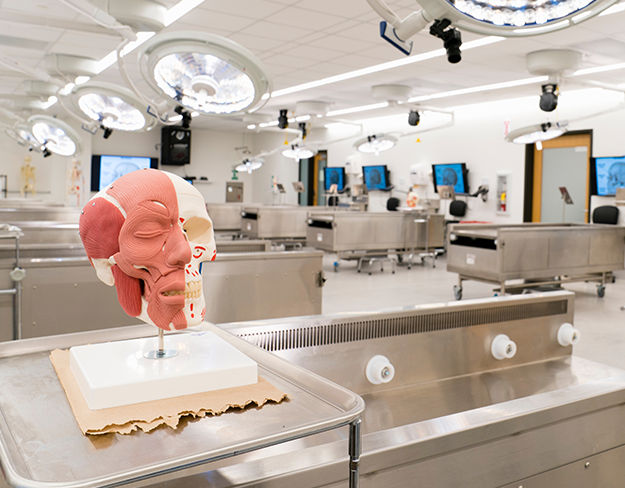 Image of Marist University's Gross Anatomy Lab.